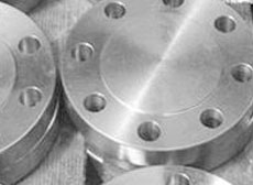 Stainless Steel Flanges