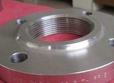 Alloy Steel Grade F5 Flanges