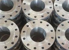 Stainless Steel Flanges