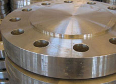 Stainless Steel Flanges