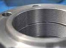 Duplex Steel Flanges