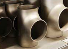 Titanium Pipe Fittings